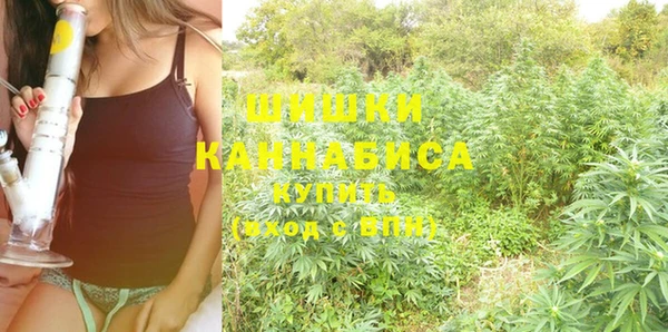 хмурый Балабаново