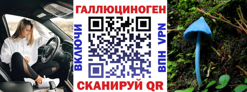 Псилоцибиновые грибы MAGIC MUSHROOMS Черноголовка