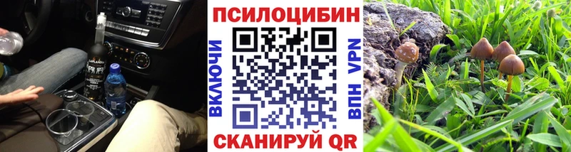 купить  сайты  Черноголовка  Галлюциногенные грибы MAGIC MUSHROOMS 