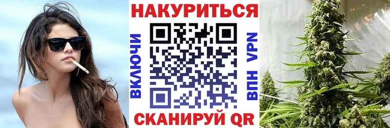 Бошки марихуана гибрид  где можно купить наркотик  Черноголовка 